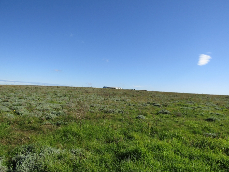 Commercial Property for Sale in Humansdorp Rural Eastern Cape